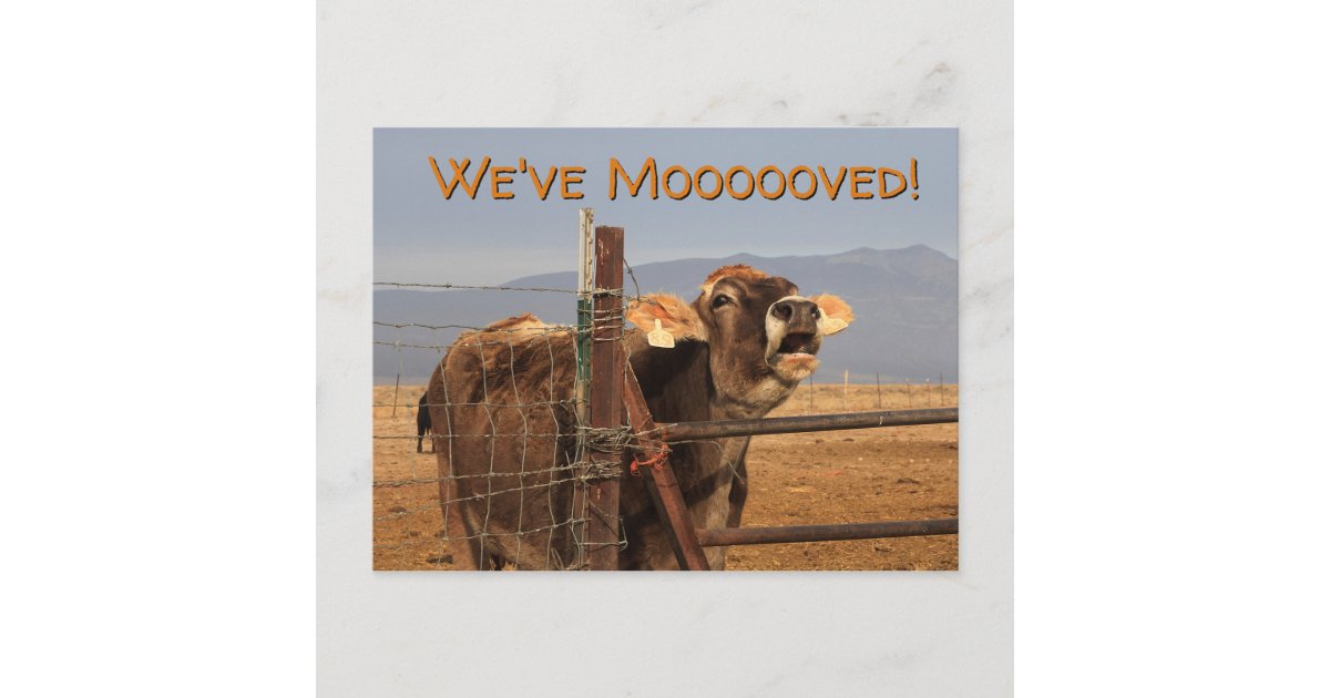 Funny Moving Announcement Postcard | Zazzle.com