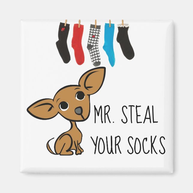 Funny Mr. Steal Your Socks Chihuahua Magnet (Front)