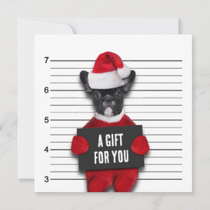 Funny Mugshot Bad Santa's Dog Christmas Gift Card