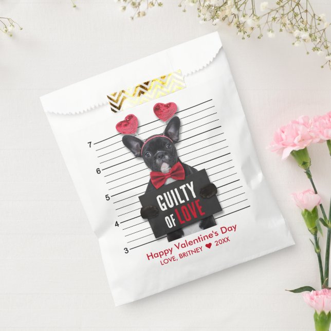 Funny Mugshot Guilty Love Dog Valentine's Day Favor Bag (Sealed)