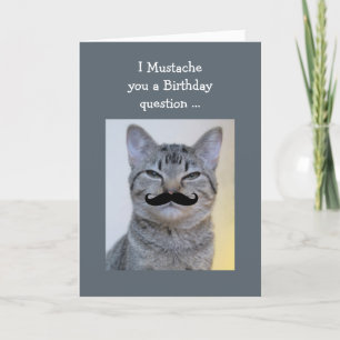 Funny  Mustache Question Birthday Cat Card