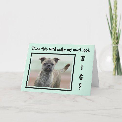 Funny Mutt Mixed Breed Dog Photo Blank Inside Card