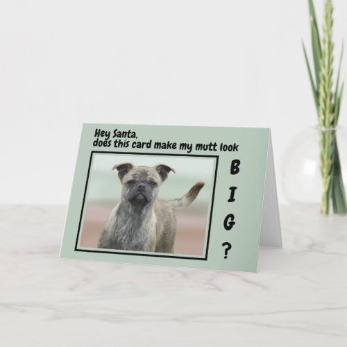 Funny Mutt Mixed Breed Dog Photo Christmas  Holiday Card