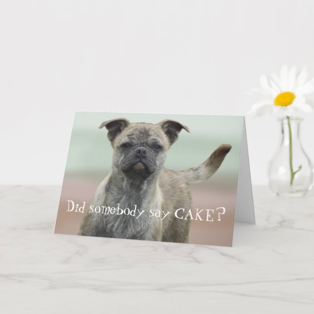 Funny Mutt Mixed Breed Dog Photo Happy Birthday Card (Small Plant)