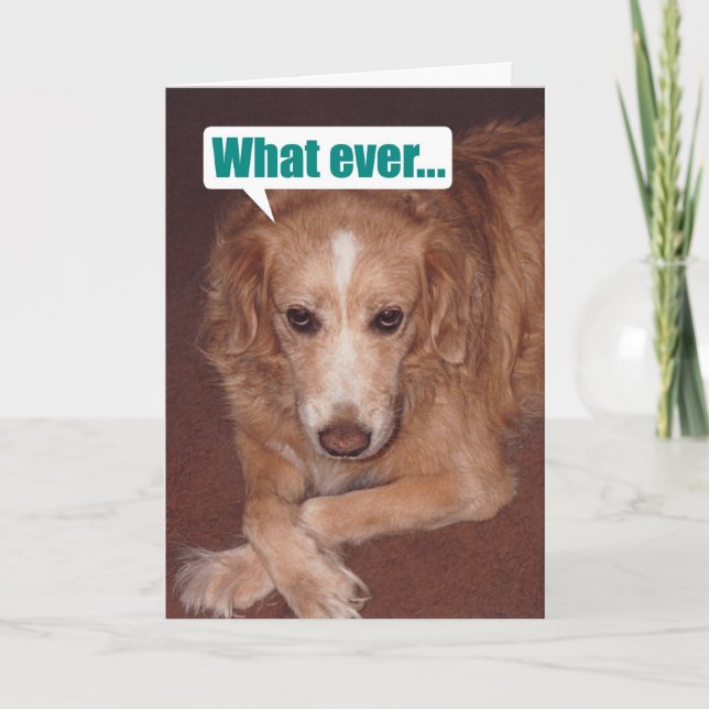 Funny Mutt with Atitude Birthday Card (Front)