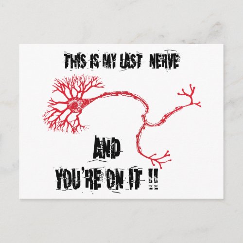 Funny My Last Nerve Postcard