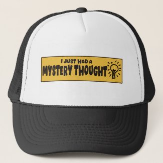 Funny Mystery Thought Roadside Attraction Design
