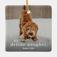 Funny Naughty Pet 2 Photo Christmas