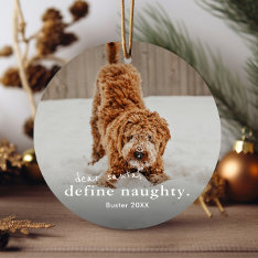 Funny Naughty Pet 2 Photo Christmas  Ceramic Ornament at Zazzle