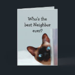 Funny Neighbor Birthday Wishes Siamese Cat Card<br><div class="desc">Funny Neighbor Birthday Wishes Siamese Cat Animal Humor you up.   Perfect for that Neighbor in your life with a sense of humor,  a love of cats and a birthday</div>