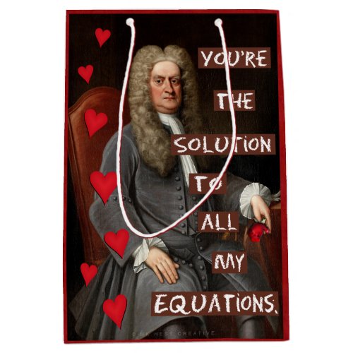 Funny Nerdy Valentines Day Newton Math Love Medium Gift Bag