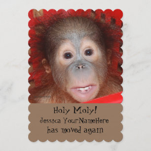 Funny New Address Animal Baby Announcement