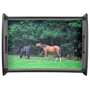 Funny New Forest Ponies Horse-lover Nature Photo Serving Tray