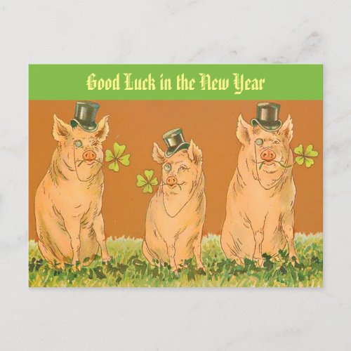 Funny New Year Pigs Good Luck in the New Year Postcard