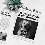 Funny Newspaper Pet Pregnancy Announcement<br><div class="desc">Funny Newspaper Pet Pregnancy Announcement</div>