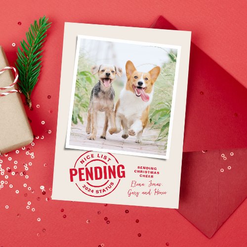 Funny nice list Christmas pet photo Holiday Card