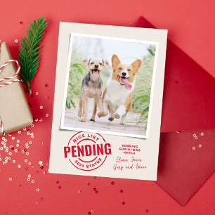 Funny nice list Christmas pet photo Holiday Card