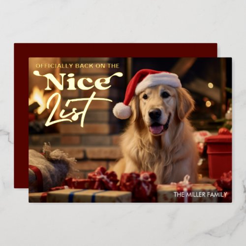 Funny Nice List Dog Pet Christmas Holiday