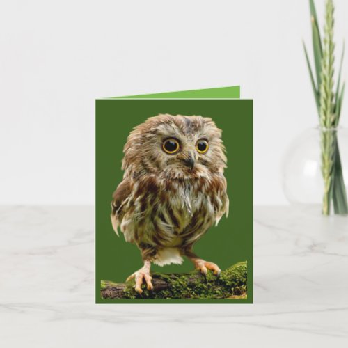 Funny Night Owl n Early Bird Card