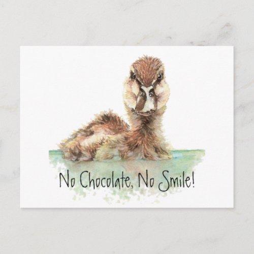 Funny No Chocolate No Smile Angry Duck Bird Postcard