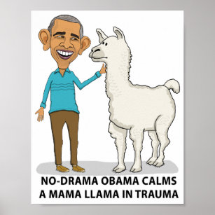 Funny No Drama Obama Calms Mama Llama Poster