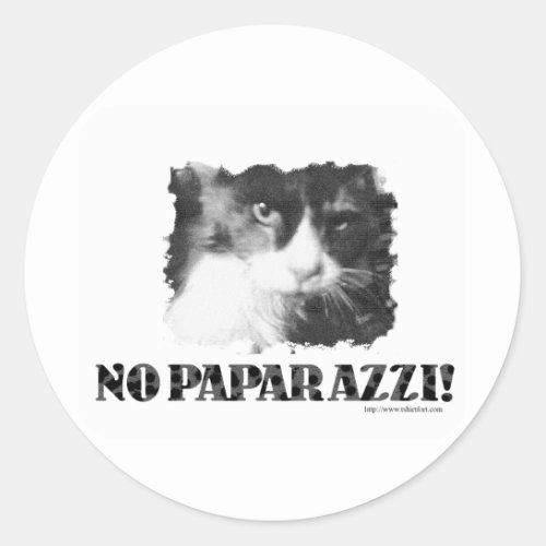 Funny No Paparazzi Cat Classic Round Sticker