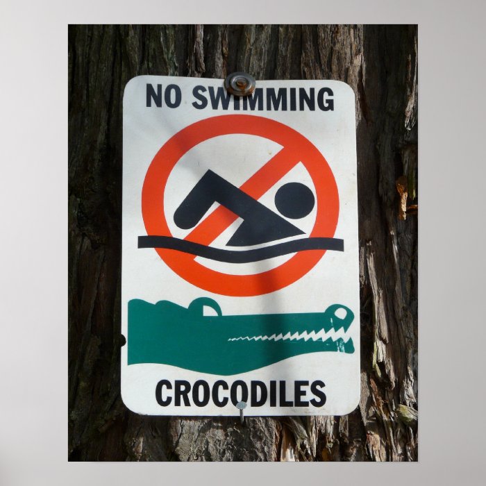 Funny NO SWIMMING Warning Sign Poster