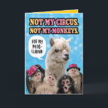 Funny Not My Circus, Not My Monkeys Birthday Llama Card<br><div class="desc">This llama is surrounded by monkeys! The card says,  "Not my circus. Not my monkeys." The llama is saying,  "Not my probllama!" A little play on words. Inside the card says,  "It's YOUR circus and YOUR monkeys! Happy Birthday!</div>
