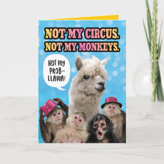Funny Not My Circus, Not My Monkeys Birthday Llama Card