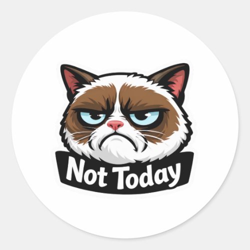 Funny "Not Today" Grumpy Cat Face Sticker