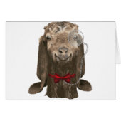 Funny Nubian Goat With Monocle (Front Horizontal)