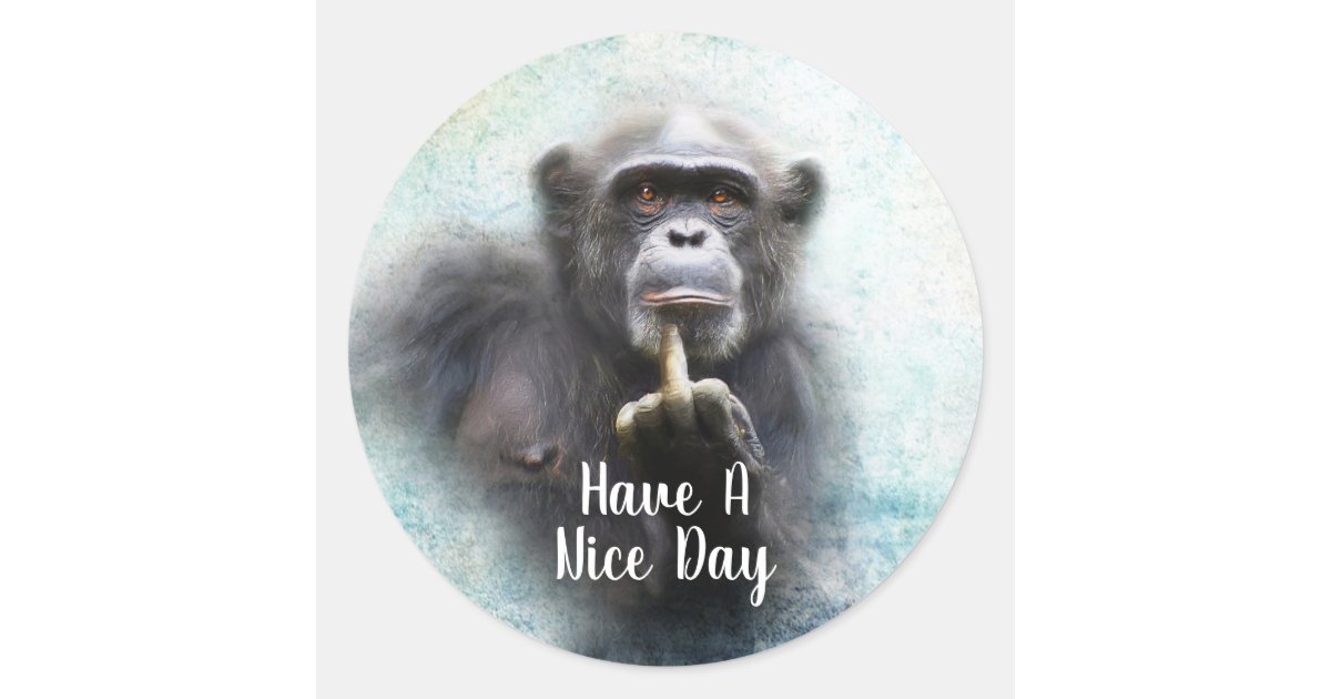 Funny Offensive Chimpanzee Middle Finger Classic Round Sticker | Zazzle