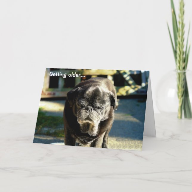 Funny Old Black Pug Birthday Card (Front)
