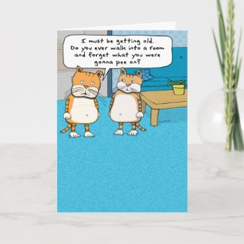 Funny Old Cat Birthday Card by chuckink at Zazzle