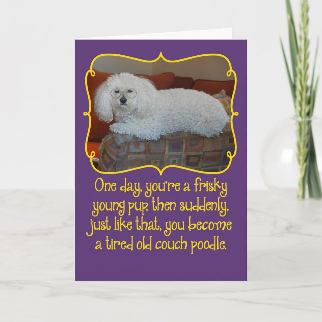 Funny Old Couch Poodle Birthday Card (Front)