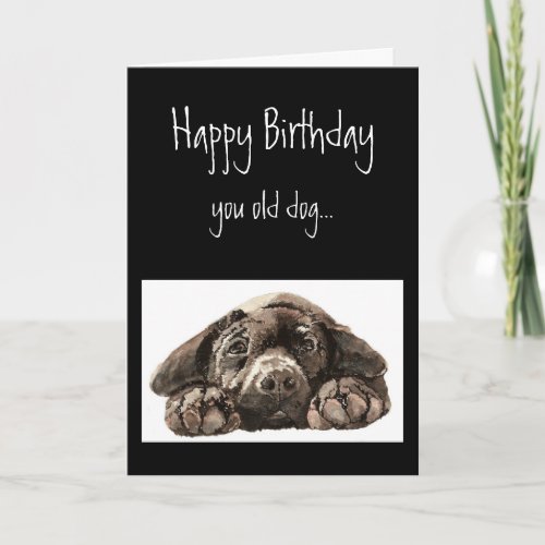 Funny Old Dog Birthday Labrador Retriever Card