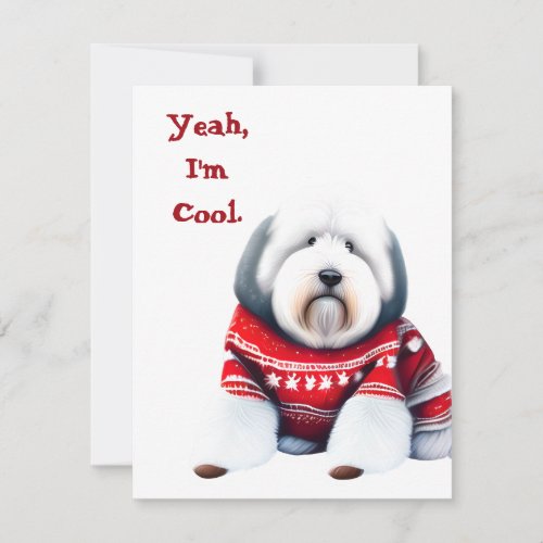 Funny Old English Sheepdog in Christmas Sweater Holiday Card