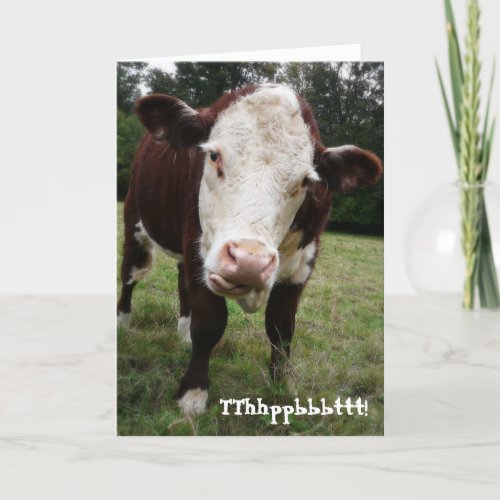 Funny Old Fart Cow Birthday Card