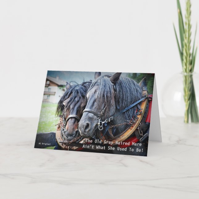 Funny Old Geezer Horse Greeting Card (Front)