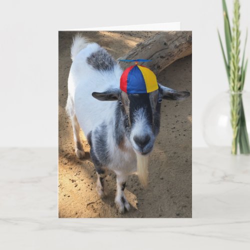 Funny Old Goat Is Still a Kid Birthday Card