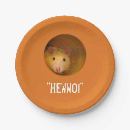 Funny Optical Illusion Rat in Hole Paper Plates