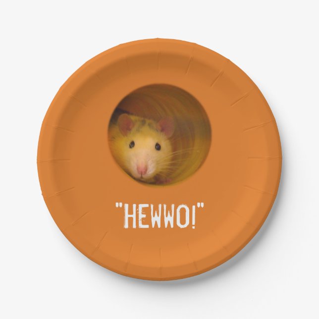 Funny Optical Illusion Rat in Hole Paper Plates (Front)