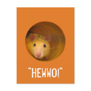 Funny Optical Illusion Rat in Hole Postcard