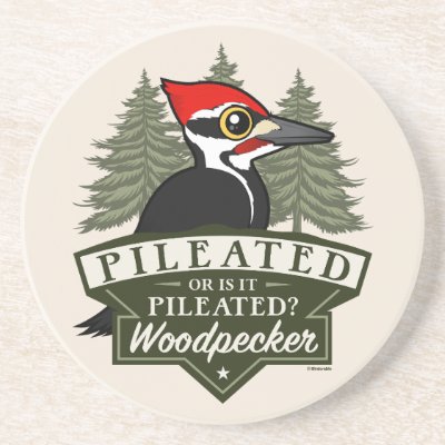 Funny Or Is It Pileated Woodpecker Pronunciation Coaster