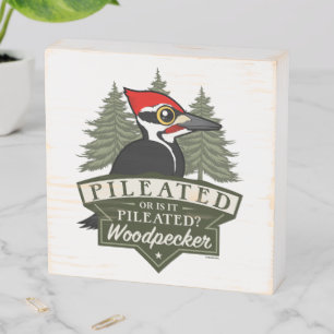 Funny Or Is It Pileated Woodpecker Pronunciation Wooden Box Sign
