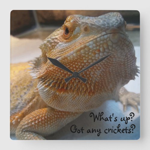 Funny Orange Bearded Dragon Close Up Print Square Wall Clock