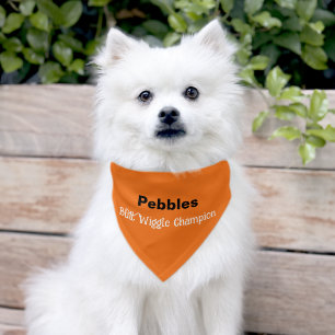 Funny Orange Butt Wiggle Champion Pet Bandana Collar