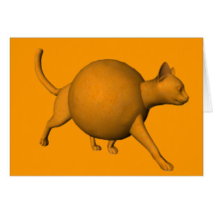 Funny Orange Cat Cards