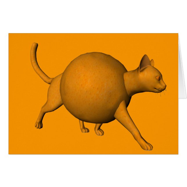 Funny Orange Cat Cards (Front Horizontal)