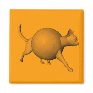 Funny Orange Cat Magnet